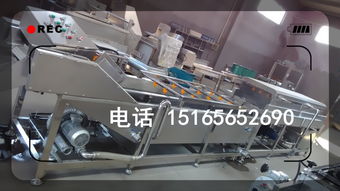 食品清洗線升級趨勢解析 佳品牌自加熱清洗機功能與報價綜述